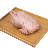 Halal Frozen Whole Chicken Quality Wholesale Halal Frozen Whole Chicken Frozen Premium Quality Frozen Whole Chicken