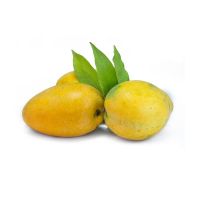 Premium Quality Fresh Egyptian Mango