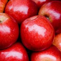 Fresh FUJI Red Apple Fruits Red