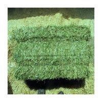 Buy Alfalfa Hay Price Thailand Direct From Alfalfa Hay Price Factories Buy Alfalfa hay Compressed Price