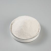 Best Selling - Gypsum Powder -Natural 100
