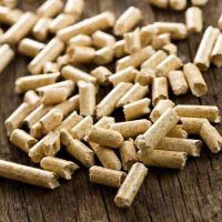 Smokeless Low Carbon Green Biomass Energy