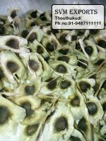 moringa seeds