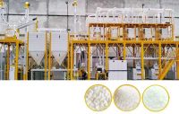 Complete Set Of Maize Flour Milling
