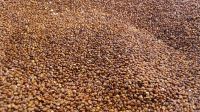 High Quality 100% Organic Quinoa