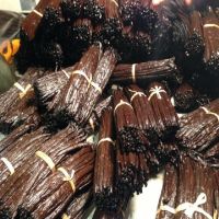 Bulk Vanilla Beans Supplier