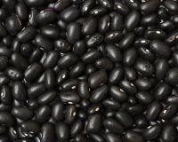 Black Beans 