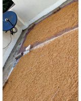 Top Quality Organic Wheat Grain
