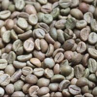 Robusta Coffee Beans And Arabica Coffee