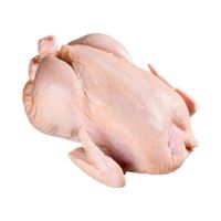 Frozen Chicken Feet