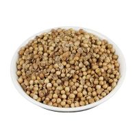 Coriander Seeds Wholesale High Quality Pure