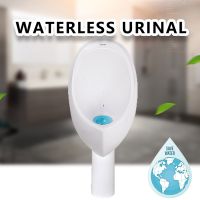 Waterless Urinal