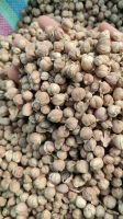 Dried Cardamom