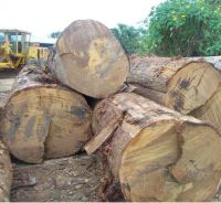  Pchyloba Round Wood Logs