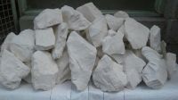 Kenya Diatomite (Diatomaceous Earth)