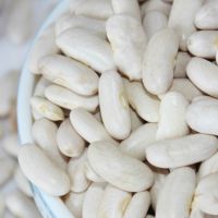 White Kidney Beans