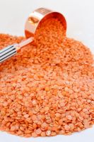 Red Dried Lentils