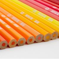 Factory Wholesale  Custom Logo Coloring Pencils