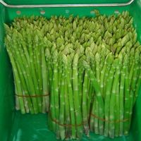 fresh Asparagus