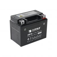DENEL China Wholesale Cheap Price Battery