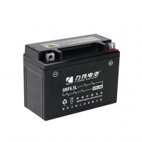 DENEL China Wholesale Cheap Price Battery