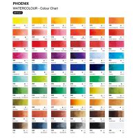 Phoenix Art Paint Fine Artist Watercolor