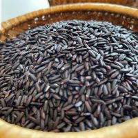 ORGANIC BLACK BROWN RICE, HIGH QUALITY