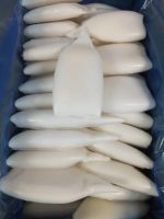 Squid tube