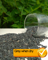 Decorative Ground Cover 'Black Breeze