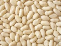 Sell Blanched Peanut Kernels(long Type