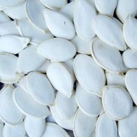 Sell Pumpkin Seeds