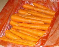 Sell fresh carrot