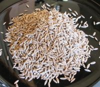 Sell Cumin Seeds