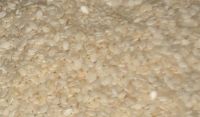 Sell HULLED SESAME SEEDS