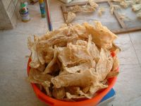 Sell Fish Maw