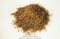 Sell Cumin Seeds