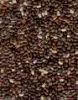 Sell Chia Seeds & Chia Oil