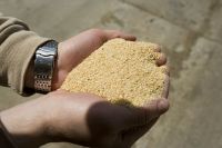 Sell Soybean Meal (With A 50