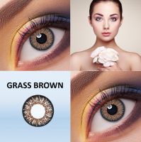 Eye Lenses