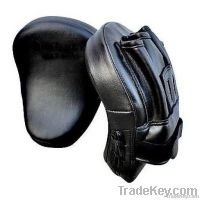 Focus Pad &amp; Mitts