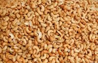 Cashew Nuts
