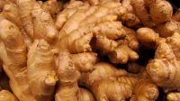 Ginger