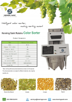 Henning Saint Raisin Sorting Machines