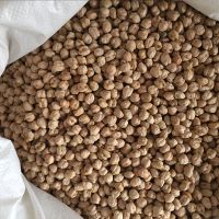 Chickpeas