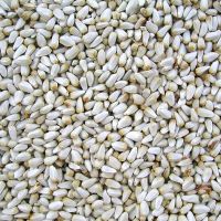 Safflower Seeds