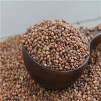Oats, Quinoa, Rye, Sorghum