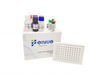Supply High  Sensitivity And Specificity Elisa