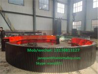 Customize Rotary Kiln Casting Large Module