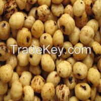 Chufa Nuts
