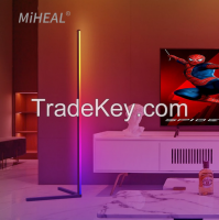 RGB LED Floor Lamp Indoor Home